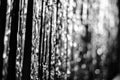 Large Silver Streamers Bokeh Blur