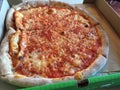 A large simple tomato and onion pizza in a cardboard box