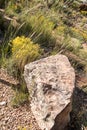 Large single Rock in front of beautiful desert terrain