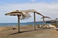 Skeleton of whale in the Salt Museum Salinas del Carmen in Fuerteventura, Spain Royalty Free Stock Photo