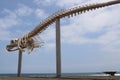 Skeleton of whale in the Salt Museum Salinas del Carmen in Fuerteventura, Spain Royalty Free Stock Photo