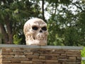 A Large Skeleton Head Sits on A Gate Wall