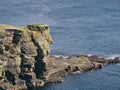 A large slab of rock at the top of a coastal cliff near Sandwick, Shetland, UK.