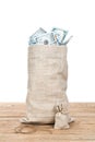 Large and small bags of money Royalty Free Stock Photo