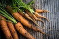 Large and small bunches of organic carrots on wood table background Royalty Free Stock Photo