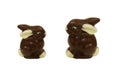 Large And Small Chocolate Easter Bunnies
