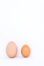 Large and Small Egg with Vertical White Background