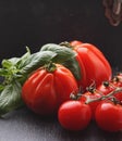 Large and small tomatoes with basil Royalty Free Stock Photo