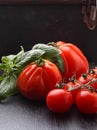 Large and small tomatoes with basil Royalty Free Stock Photo