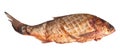 Large smoked carp