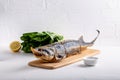 Large smoked sturgeon fish with head on white background