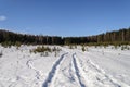 Large snow glade in winter forest Royalty Free Stock Photo