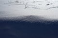 A large snowdrift. Shadow on a snowdrift. Dry grass on the surface of a ravine snowdrift.
