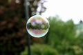 Large soap bubble floating in the air