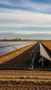 Vast Solar Panel Array Stretching Across Dry Agricultural Field Under Blue Sky With Wispy Clouds Royalty Free Stock Photo
