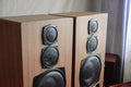 Large Soviet speakers Orbita 35as-016. Vintage