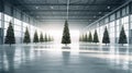 Large spacious room with Christmas trees Royalty Free Stock Photo