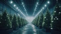 Large spacious room with Christmas trees Royalty Free Stock Photo