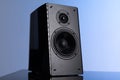 large speaker with two speakers for music professionals on gray-blue background