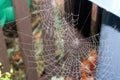 Large Spider`s Web, on garden fence Royalty Free Stock Photo