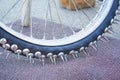 Large spikes on the wheels of bike for Speedway