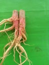 The large spinach root thai Royalty Free Stock Photo