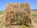 Large square Hay Bale in a field. Royalty Free Stock Photo