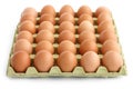 Large square tray of eggs