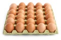Large square tray of eggs Royalty Free Stock Photo