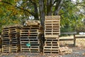 Large Stack of Damaged Wooden Pallets Royalty Free Stock Photo