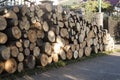 A large stack of firewood Royalty Free Stock Photo