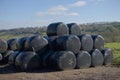 Large stack of haylage bales wrapped in black plastic, sunny rural day Royalty Free Stock Photo