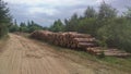 A large stack of sawn pine logs is stacked along a dirt country road near the forest. There are car tracks imprinted on the road. Royalty Free Stock Photo