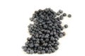 A large stack of sweet fresh blueberry`s Royalty Free Stock Photo
