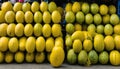 A large stack of yellow cantaloupes Royalty Free Stock Photo