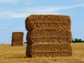 large stacked straw bales in closeup view. golden color harvested rural farm field and green forest at a distance Royalty Free Stock Photo