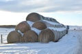 Large Stacks of Hay Bails on a Snowy Farm Field in Winter