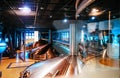 Stainless steel fermentation vats in modern beer brewery factory