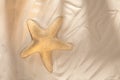 Large starfish on sand background