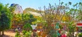 Reclining Buddha through the garden`s greenery, Mya Tha Lyaung Buddha Temple, Bago, Myanmar