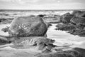 Large stone in black and white taken in the water on the beach in the sea. Danish Royalty Free Stock Photo