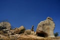 Large Stone Boulders rocks-IDAR hills District Sabarkantha Royalty Free Stock Photo