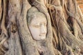 Large stone Buddha head in fig tree roots in Wat Mahathat, Ayutthaya City, Thailand Royalty Free Stock Photo