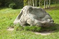 Large stone on the lawn. The boulder lies on the green grass in the yard. Royalty Free Stock Photo