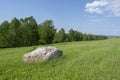 Large stone lying in the grass in the meadow. Limestone. Summer landscape Royalty Free Stock Photo