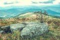 Large stone and a small dry tree in the mountains Royalty Free Stock Photo