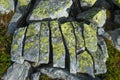 A large stone split into fragments. Green lichen on the stones