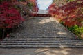 Large stone stairs and beautiful autumn season in Jingo-ji temple.