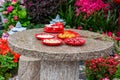 Stone table with red plates in a vibrant garden