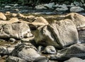 Large stones, boulders and boulders in the Bode near Thale, as places for rest, contemplation and meditation